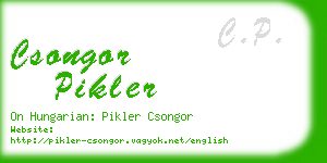 csongor pikler business card